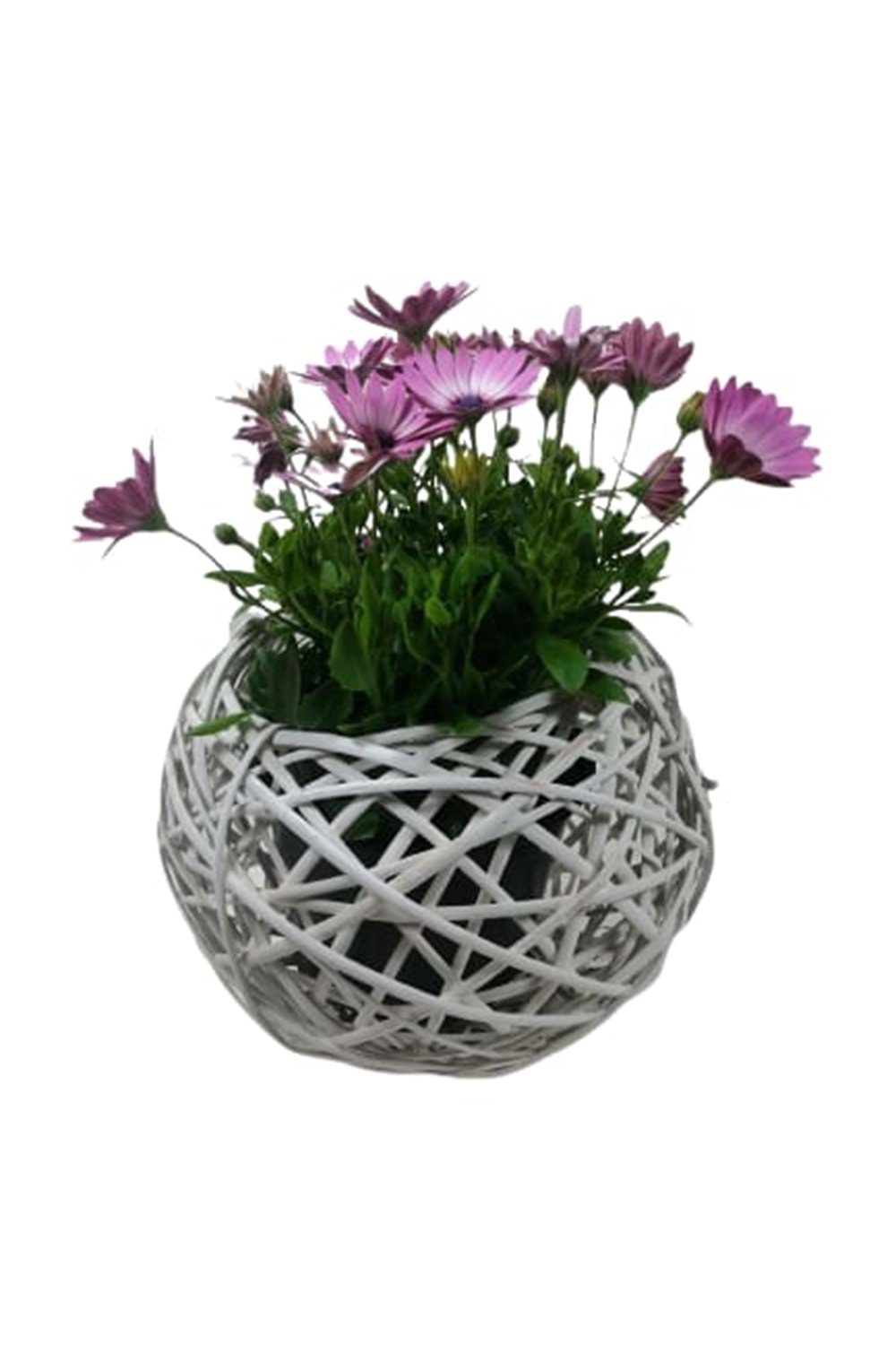 Örgü Küre Sepet Beyaz Büyük Boy Çap 30 Cm YK-42