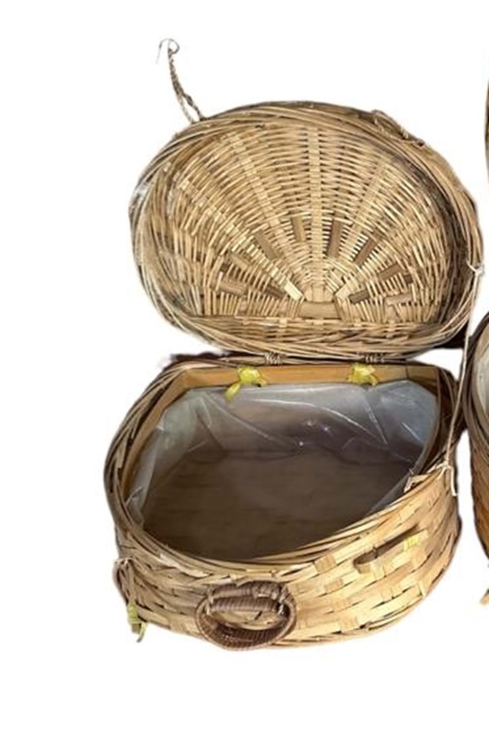 SEPET DENİZ KABUĞU KÜÇÜK