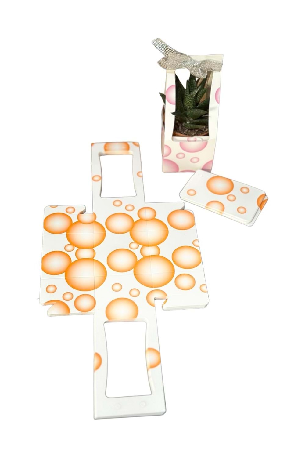 Küçük Boy Kraft Skulent Kaktüs Taşıma Çantası 20 Adet - Turuncu