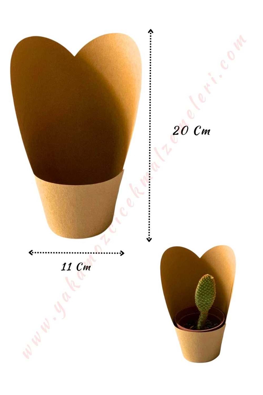 Kraft Skulent Kaktüs Süsleme Kağıdı Büyük Boy 15 Adet Kaktüslük - Kraft Kahverengi