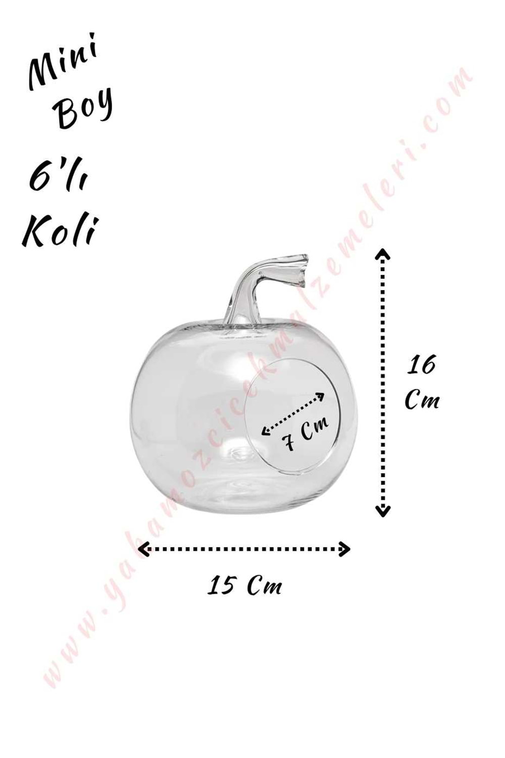 Cam Teraryum Elma Mini Boy 15*16 Cm Ağız Çapı 7 Cm 6 Lı Koli - Elma