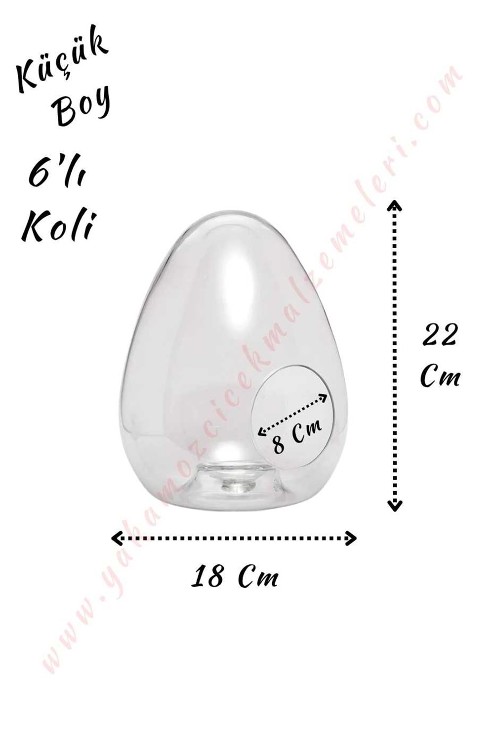 Cam Teraryum Yumurta Küçük Boy 18*22 Cm Ağız Çapı 8 Cm 6 Adet - Yumurta