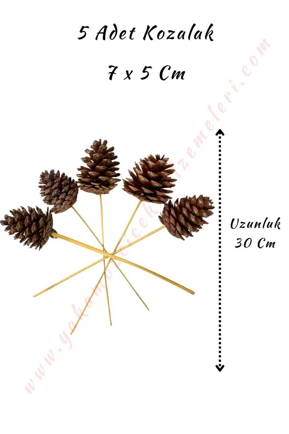 Dekoratif Renkli Kozalak 5 Adet 7*10 Cm - Kahverengi
