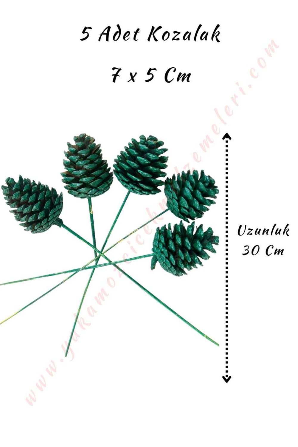 Dekoratif Renkli Kozalak 5 Adet 7*10 Cm - Koyu Yeşil
