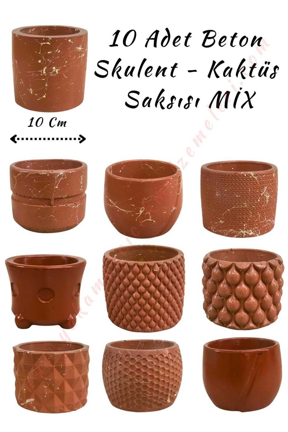 10 Adet Beton Skulent - Kaktüs Saksısı 8*10 Cm Mix Modeller