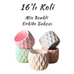 Çok Renkli