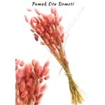 Açık Pembe