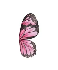 Kelebek Kanadı Selefon Renkli - Açık Pembe