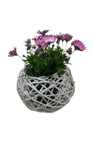 Örgü Küre Sepet Beyaz Büyük Boy Çap 30 Cm YK-42