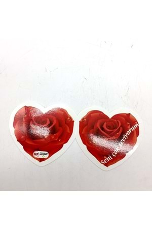 KARTVİZİT MESAJ KARTI 25 ADET