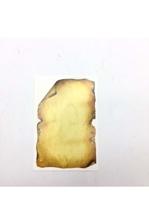 KARTVİZİT MESAJ KARTI 25 ADET