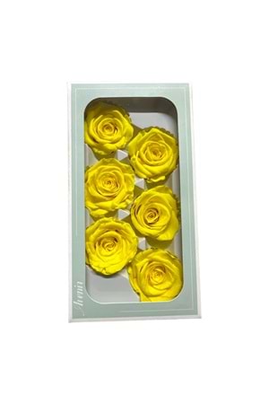 SOLMAYAN GÜL PAKET yk-22 - sarı