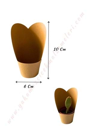 Kraft Skulent Kaktüs Süsleme Kağıdı Küçük Boy 20 Adet Kaktüslük