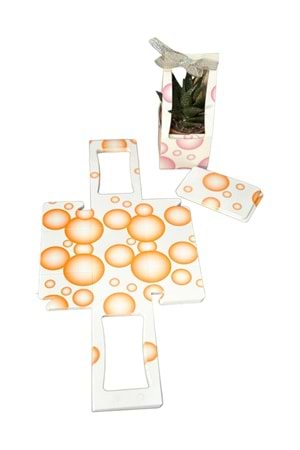 Küçük Boy Kraft Skulent Kaktüs Taşıma Çantası 20 Adet - Turuncu