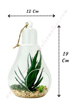 Dekoratif Asılabilir İpli Teraryum Büyük Ampul 12*12*19 Cm YK-296