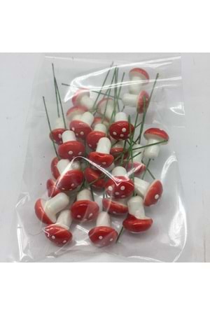 DEKOR MANTAR PAKET 1000 adet