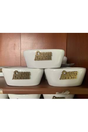 Anneler Günü 3 Adet Kaktüslük