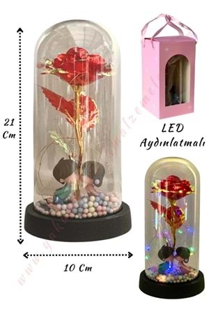 Sonsuzluk Gülü Süslemeli Sevgililer Işıklı Fanus Hazır Tanzim Çap 10 Cm Yükseklik 21 Cm YK-432 - Kırmızı
