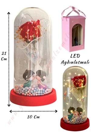 Gül Süslemeli Sevgililer Işıklı Fanus Hazır Tanzim Çap 10 Cm Yükseklik 21 Cm YK-433 - Kırmızı