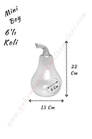 Cam Teraryum Armut Mini Boy 13*22 Cm Ağız Çapı 6 Cm 6 Lı Koli - Armut