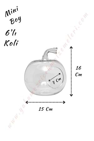Cam Teraryum Elma Mini Boy 15*16 Cm Ağız Çapı 7 Cm 6 Lı Koli - Elma