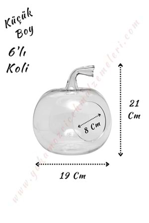 Cam Teraryum Elma Küçük Boy 19*21 Cm Ağız Çapı 8 Cm 6 Lı Koli - Elma