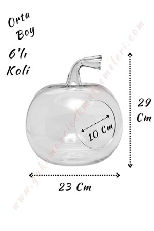 Cam Teraryum Elma Orta Boy 23*29 Cm Ağız Çapı 10 Cm 6 Lı Koli - Elma