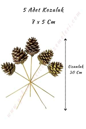 Dekoratif Renkli Kozalak 5 Adet 7*10 Cm - Altın - Gold