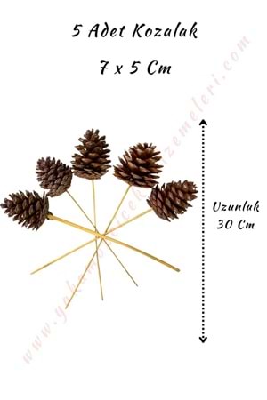 Dekoratif Renkli Kozalak 5 Adet 7*10 Cm - Kahverengi