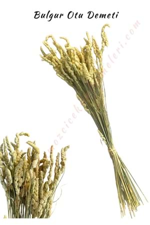 Bulgur Otu Kuru Çiçek Demeti Dekor