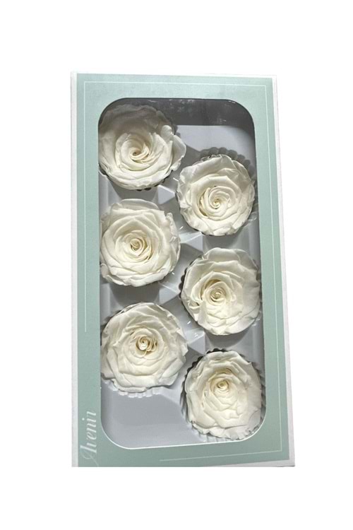 SOLMAYAN GÜL PAKET yk-22 - beyaz