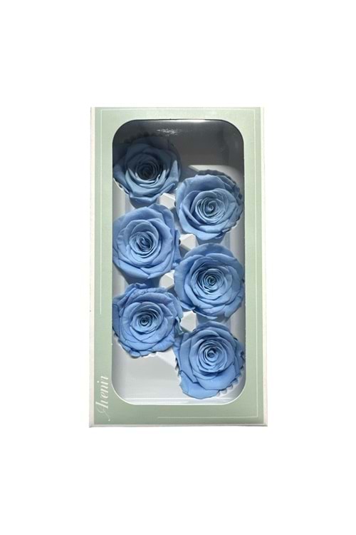 SOLMAYAN GÜL PAKET yk-22 - mavi
