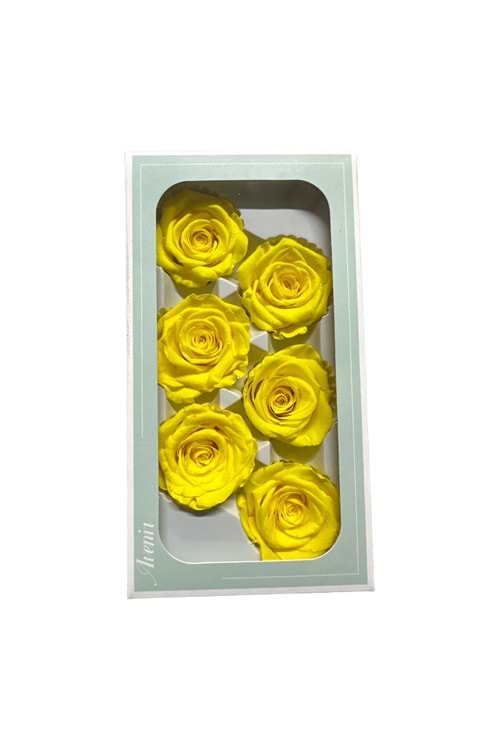 SOLMAYAN GÜL PAKET yk-22 - sarı