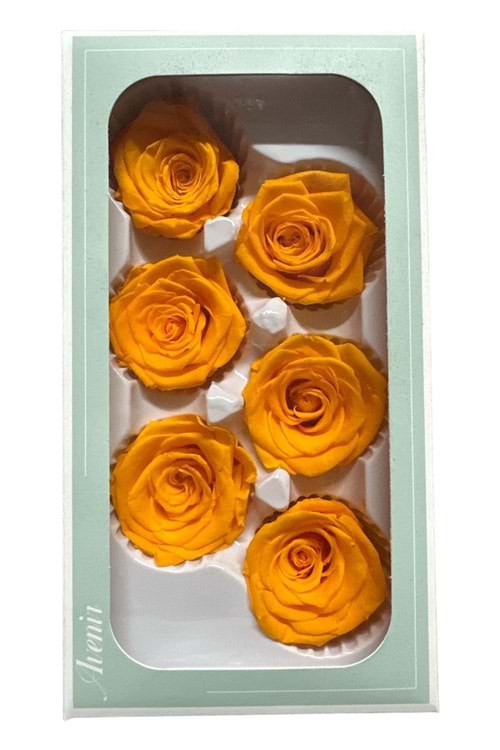 SOLMAYAN GÜL PAKET yk-22 - turuncu