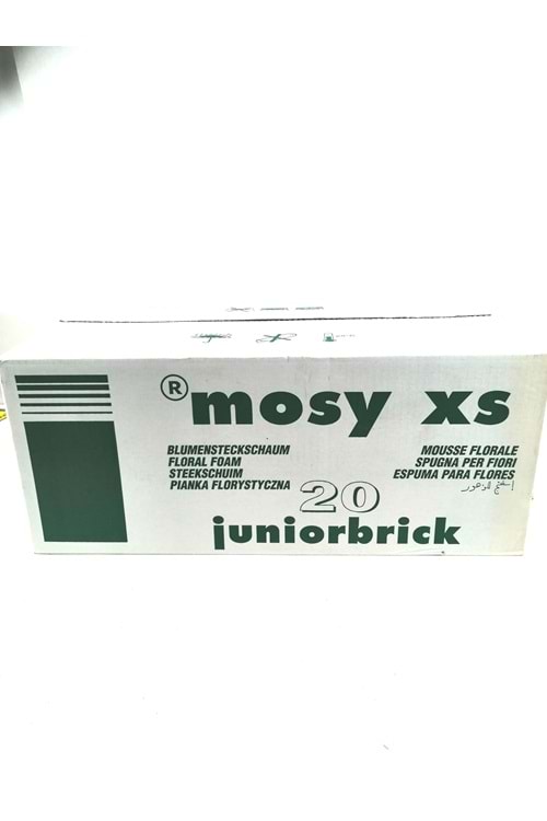 OASİS ÇİÇEK SÜNGERİ - SÜNGER BİG MOSSY XS
