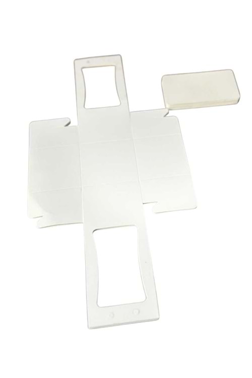 Küçük Boy Kraft Skulent Kaktüs Taşıma Çantası 20 Adet - Beyaz