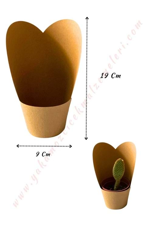 Kraft Skulent Kaktüs Süsleme Kağıdı Orta Boy 15 Adet Kaktüslük - Kahverengi Kraft