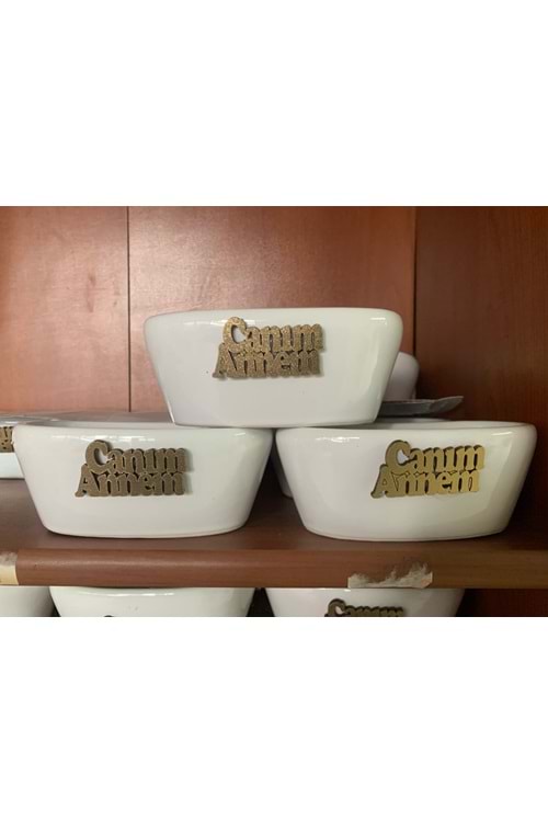 Anneler Günü 3 Adet Kaktüslük