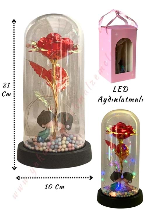 Sonsuzluk Gülü Süslemeli Sevgililer Işıklı Fanus Hazır Tanzim Çap 10 Cm Yükseklik 21 Cm YK-432 - Kırmızı