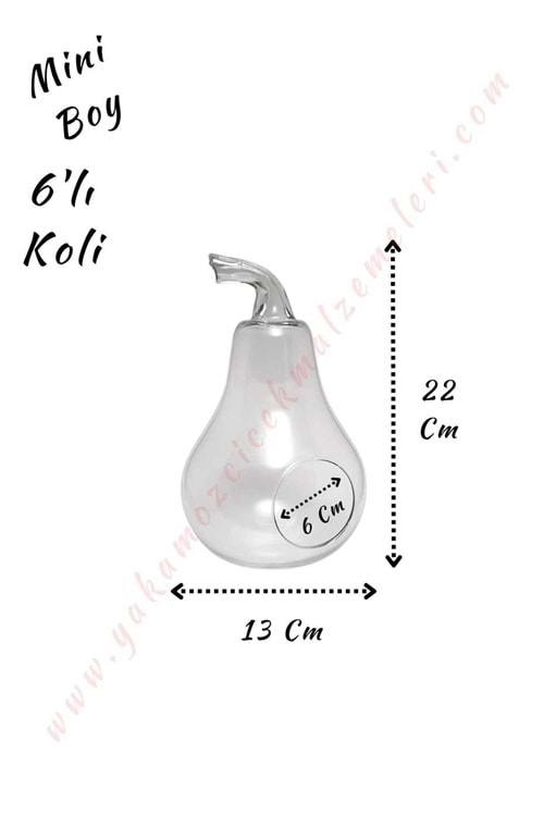Cam Teraryum Armut Mini Boy 13*22 Cm Ağız Çapı 6 Cm 6 Lı Koli - Armut