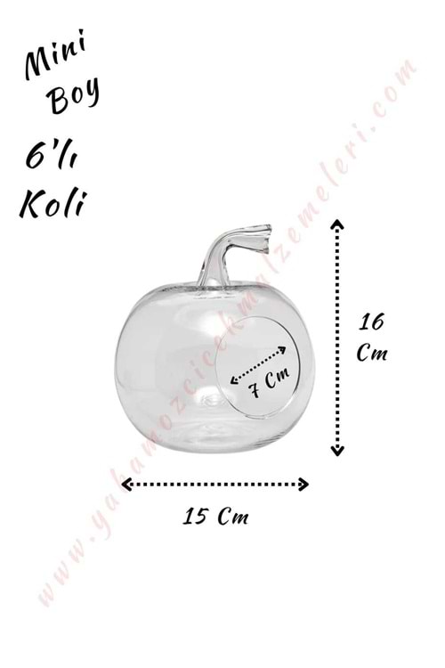 Cam Teraryum Elma Mini Boy 15*16 Cm Ağız Çapı 7 Cm 6 Lı Koli - Elma