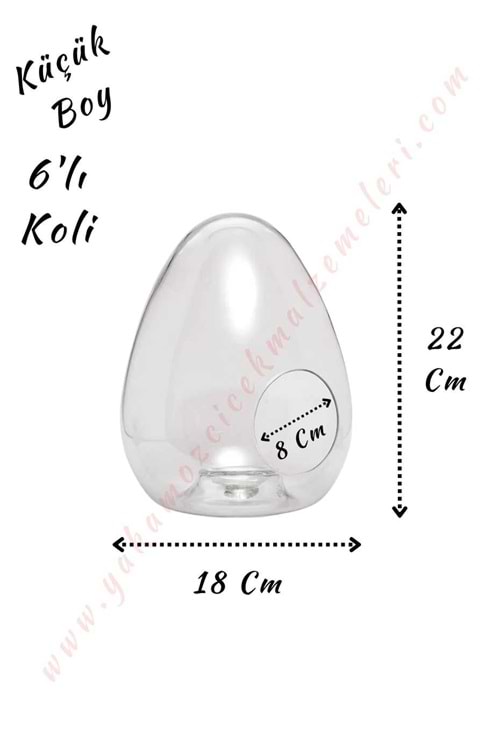 Cam Teraryum Yumurta Küçük Boy 18*22 Cm Ağız Çapı 8 Cm 6 Adet - Yumurta