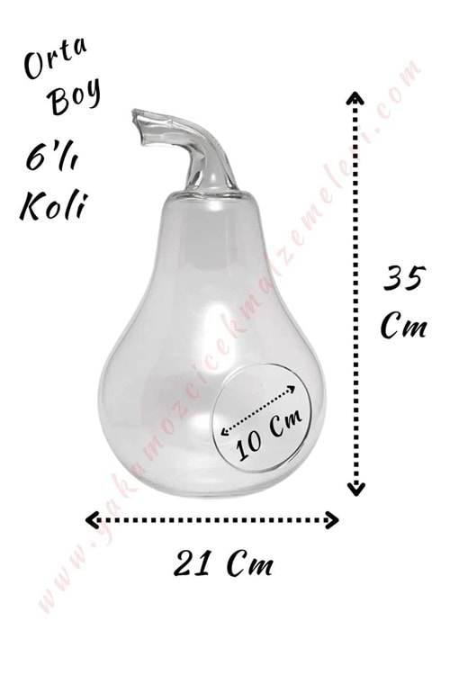 Cam Teraryum Armut Orta Boy 21*35 Cm Ağız Çapı 10 Cm 6 Lı Koli - Armut
