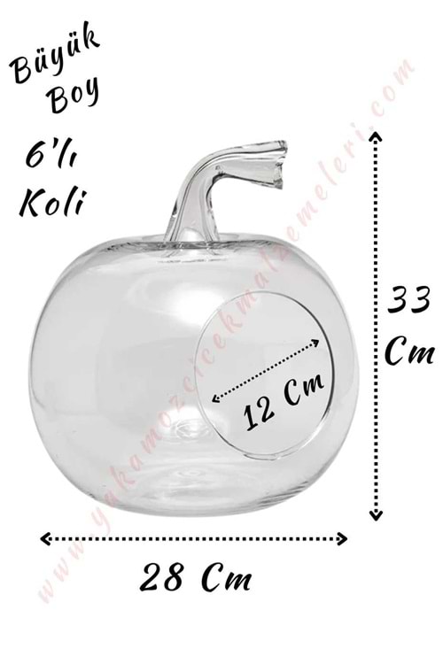 Cam Teraryum Elma Büyük Boy 28*33 Cm Ağız Çapı 12 Cm 6 Lı Koli - Elma