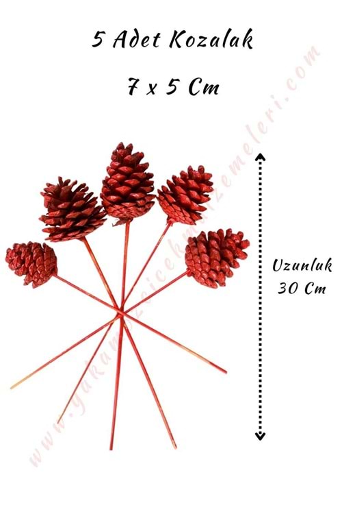 Dekoratif Renkli Kozalak 5 Adet 7*10 Cm - Kırmızı