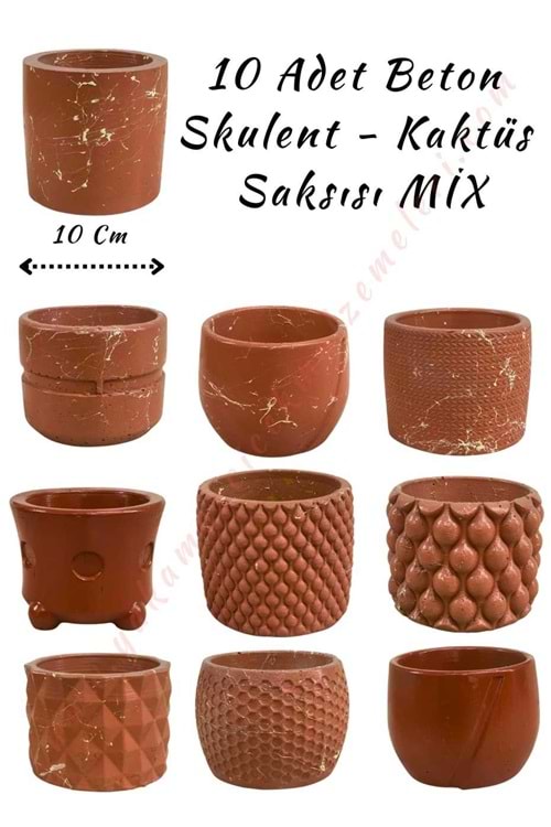 10 Adet Beton Skulent - Kaktüs Saksısı 8*10 Cm Mix Modeller