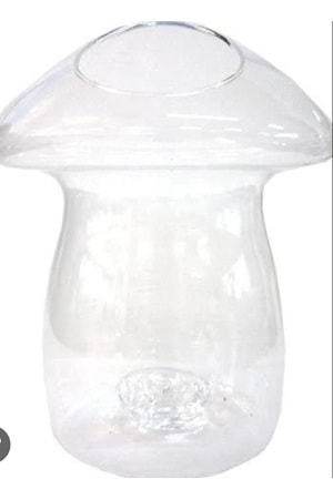 Mantar Cam Teraryum Büyük Çap 26 Cm Yükseklik 30 Cm