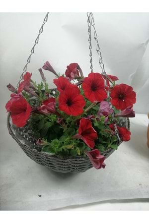 SEPET YK-524 ZİNCİR ASKILI