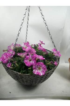 SEPET YK-524 ZİNCİR ASKILI