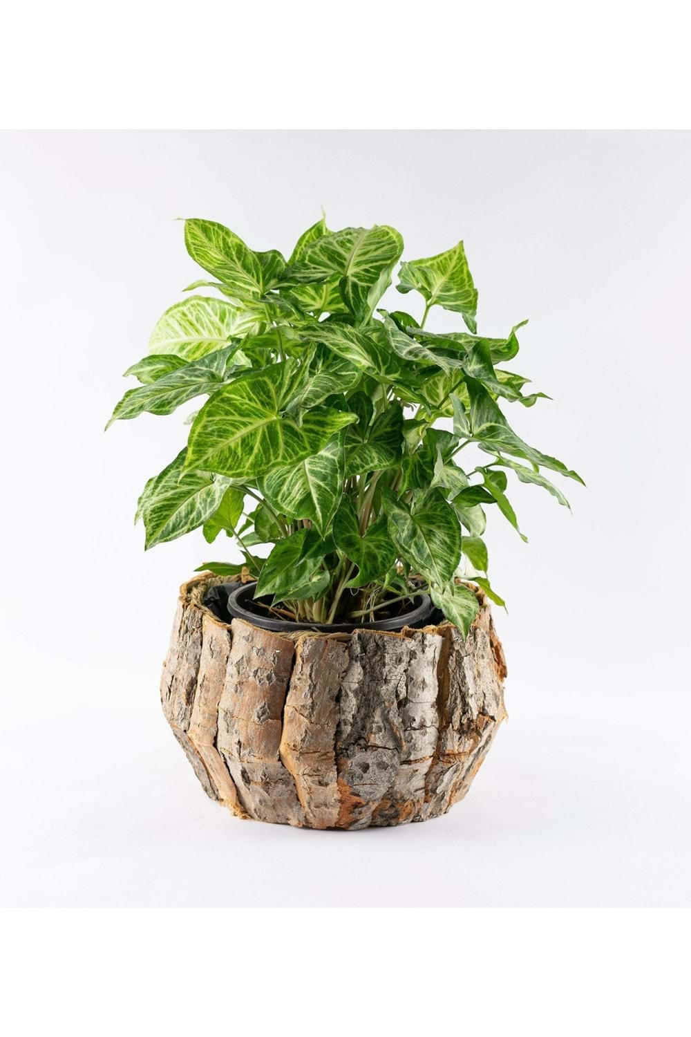 Ağaç Kabuğu Saksı 2 li Set YK-157